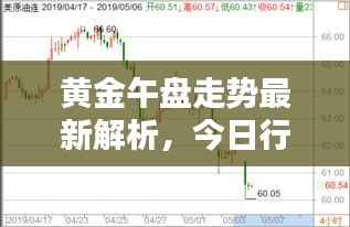 黄金午盘走势最新解析，今日行情分析报告