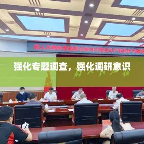 强化专题调查,强化调研意识
