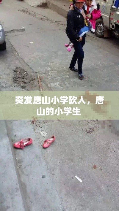 突发唐山小学砍人，唐山的小学生 