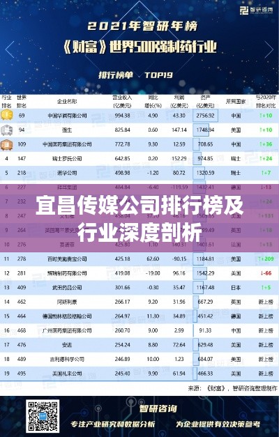 瑞雪飞舞 第2页