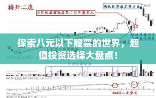 探索八元以下股票的世界,超值投资选择大盘点!