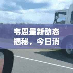 韦恩最新动态揭秘,今日消息抢先看!