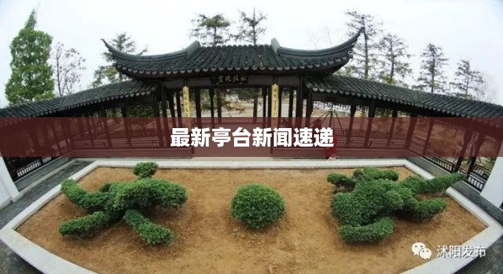 成功案例 第87页