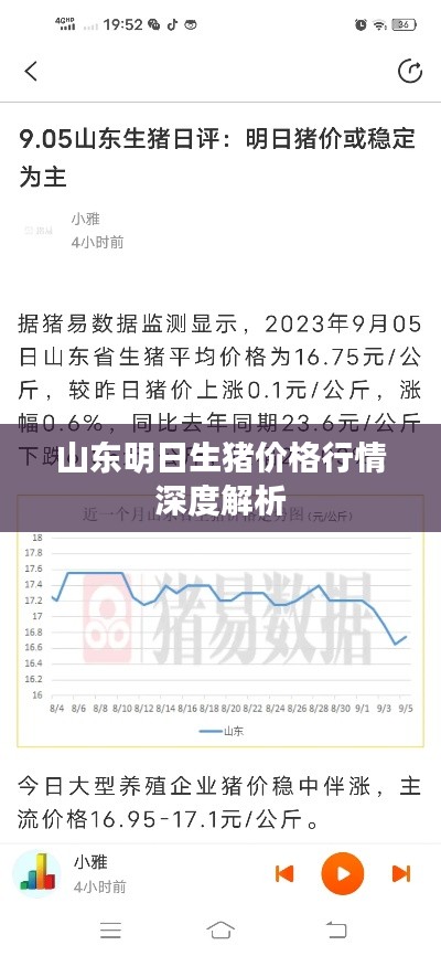 山东明日生猪价格行情深度解析