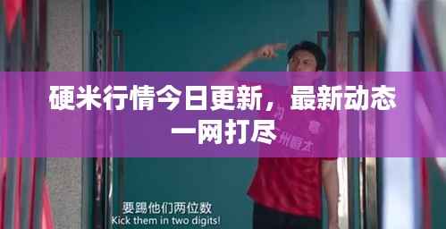 硬米行情今日更新，最新动态一网打尽